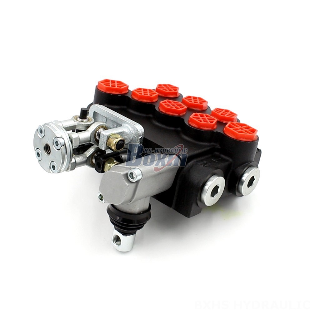 Monoblock Construction: P40 Valve for Superior Reliability and Performance main image